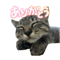 MamaHiro_20260420223923