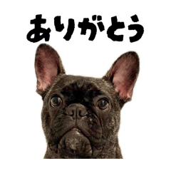 riripu_u_20260420223905