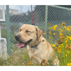 Danchan_20260420223726