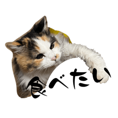 ErissaPon_20260420223639