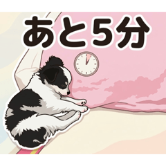 dog run ren 9_20260420223701