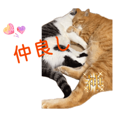 ko_hi_20260420225049