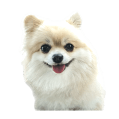 Aoislanda_20260421011014