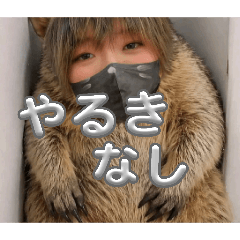 nyanta_20260421013510