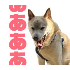 canpanys_20260421014252