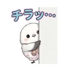 JAM Mon - R's Daily Life