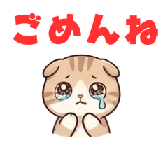 A cute Kitten`s story2a