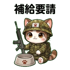 Japanese Army Cat