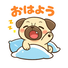 Cute & Lazy Pug Daily Stickers