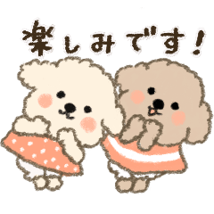 ふわふわビションとトイプーちゃん