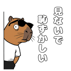 Capybara gourmet [useful]