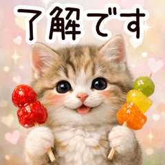 korean gourmet cat p