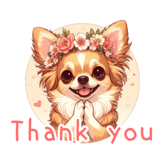 Chihuahua & Flower Crown: Daily & Polite