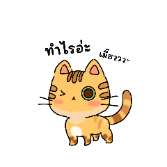 Meoww_20260420163022