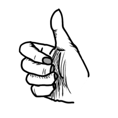 Pigeon_20260420204937