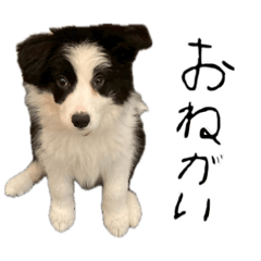 Umeko_20260420205514