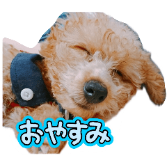 shiori_20260421082731