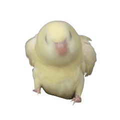 chacha_20260421091030