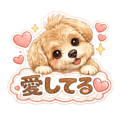 MAKOTO_20260421085014