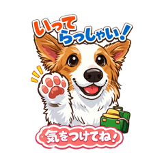 Border collie koharu_20260420232802