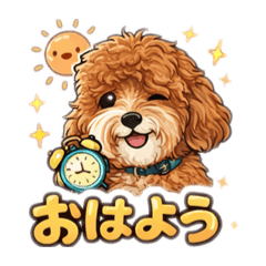 popola_20260421085552