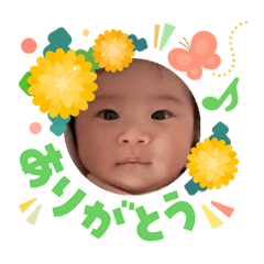 miyuki_20260421092449