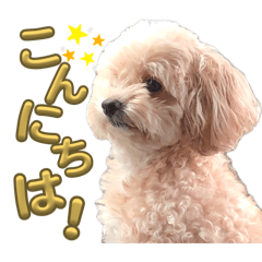 Nanami_20260421093521