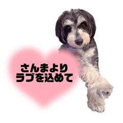 siaya_20260421093049