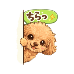 Chako_20260421111008