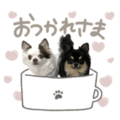 Ciela_20260421111752