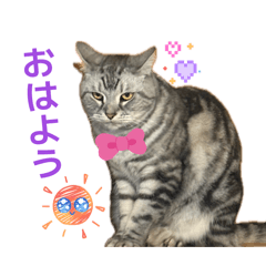 Funapi_20260421112308