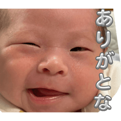 yoshi_20260421113237