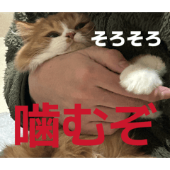 hagiwararin_20260421113150