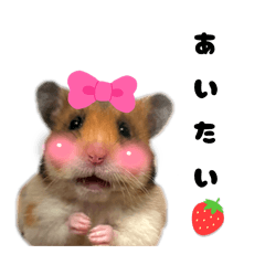 rerere_20260421002016