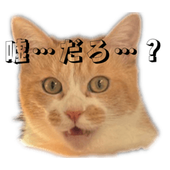 naaaa_20260421003825