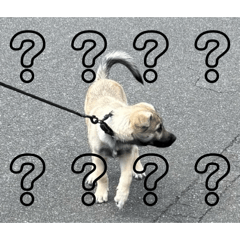 machuge_20260421002318