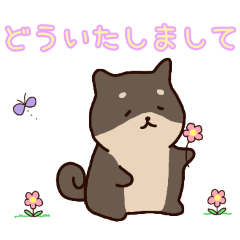 PAKAMOGOLY_20260421095413