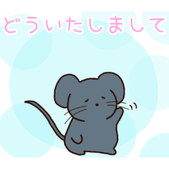 PAKAMOGOLY_20260421095628