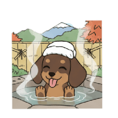 suisuisuu_20260417172955