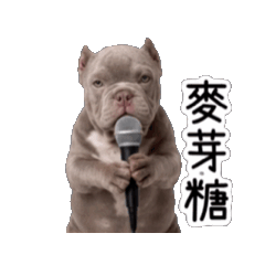 胖妞搞笑可愛專屬貼圖