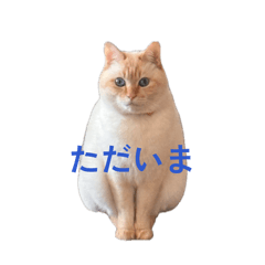 yukky_20260420215321