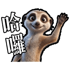 我是可愛小狐蒙