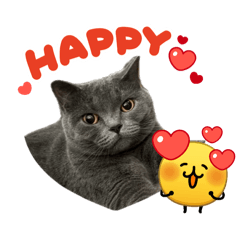 Chiaki_20260420215927