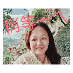 自製一個自己