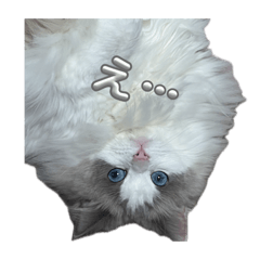 Maromia_20260421050031