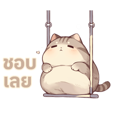 Cute chubby Thai tabby cat with daily