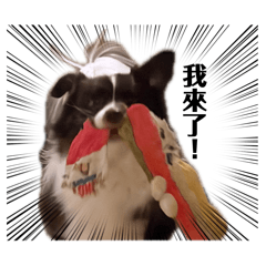 快樂泉源（日常篇）