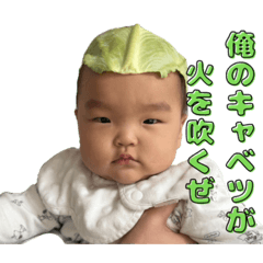 Nami86_20260417174145