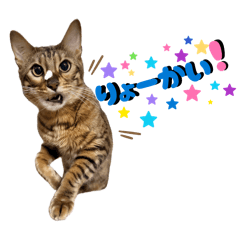 maiyan_20260420222633