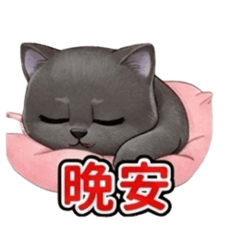 阿福的日常 No.1